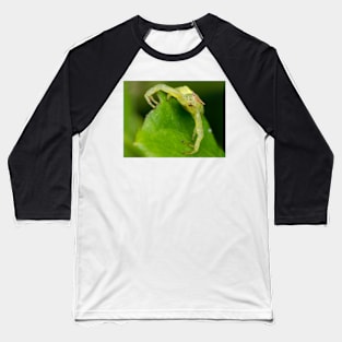 Unique and organic photo of a crab spider Baseball T-Shirt